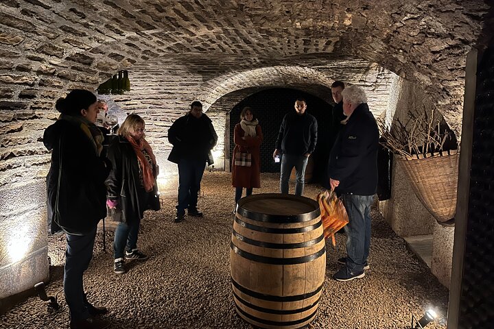 Tour de um dia da Rota do Grande Crus da Bourgogne - 14 degustações de vinhos em domínios