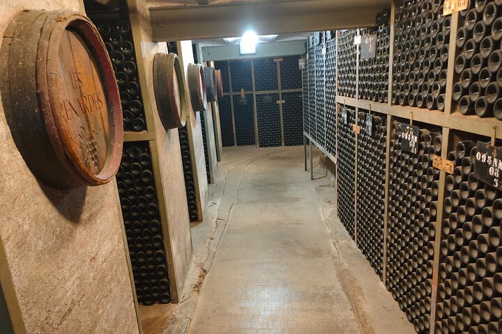 Tour de um dia da Rota do Grande Crus da Bourgogne - 14 degustações de vinhos em domínios