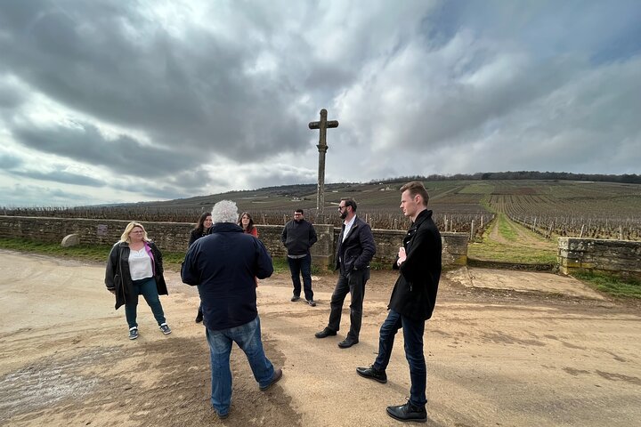 Tour de um dia da Rota do Grande Crus da Bourgogne - 14 degustações de vinhos em domínios