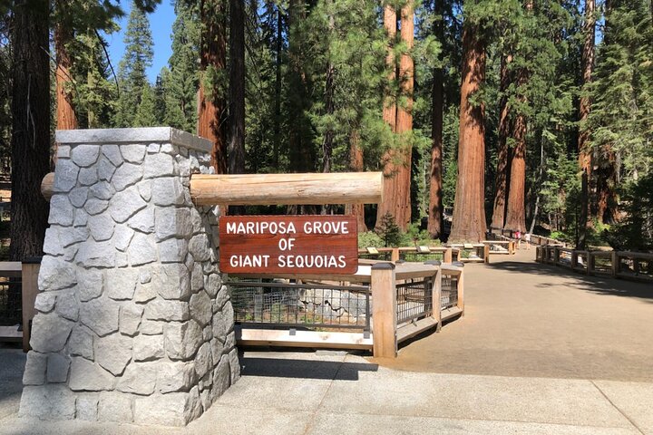 Yosemite Highlights Kleingruppentour