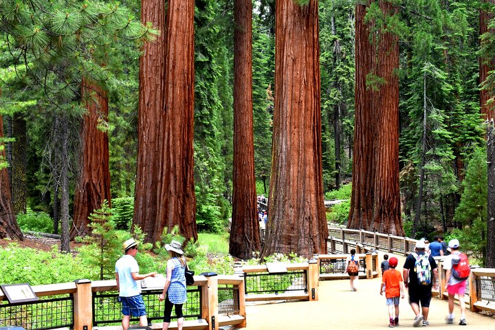 Yosemite Highlights Kleingruppentour
