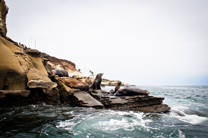 Hotell i nærheten av La Jolla Sea Cave Tandem Kayak Tour