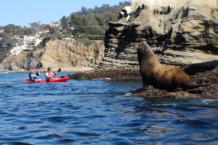 Hotell i nærheten av La Jolla Sea Cave Tandem Kayak Tour