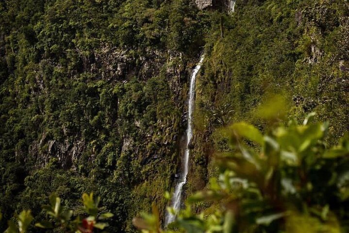 Pittoresk sørtur på Mauritius, inkludert lunsj, 7-farget jord
