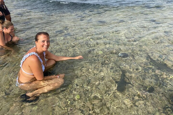 Privé Sal Island Lemon Shark Tour met inheemse Gids