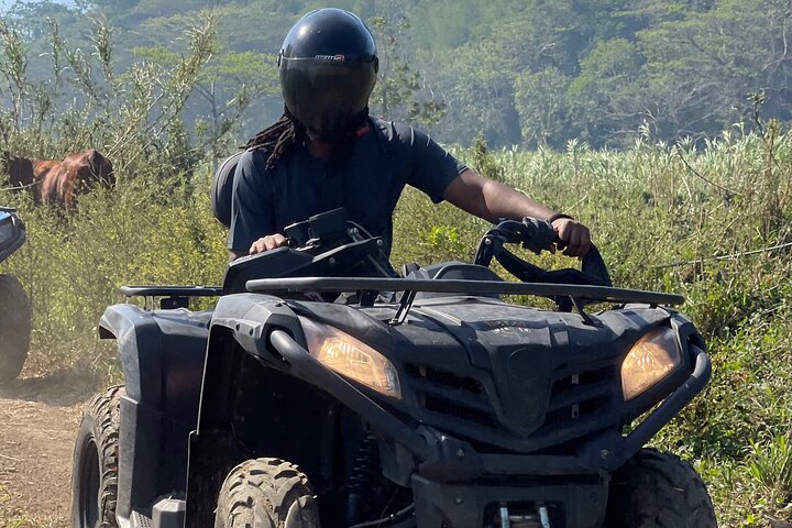 Montego Bay ATV, Rafting , Zipline , Horseback & Rick's Cafe Tour