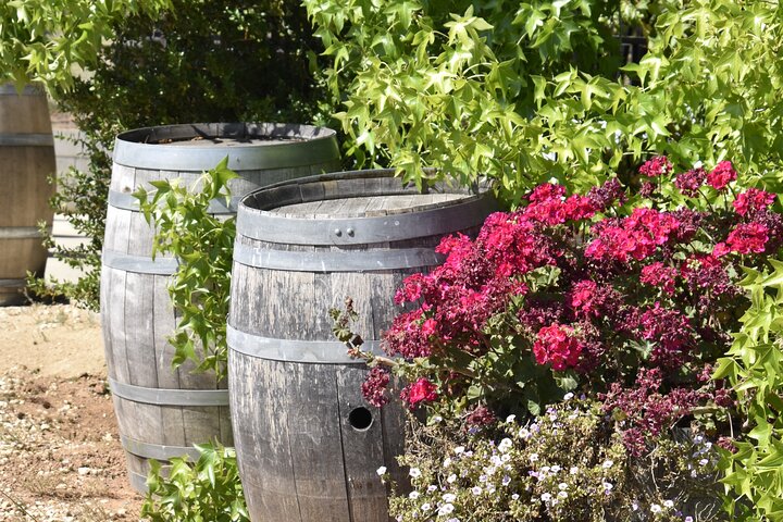 Tours de degustação de vinhos de Lodi Tour privado personalizado de vinhos