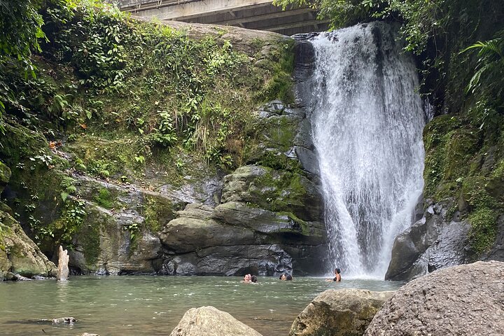 Cahuita nasjonalpark tur og vannopplevelse i Puerto Viejo