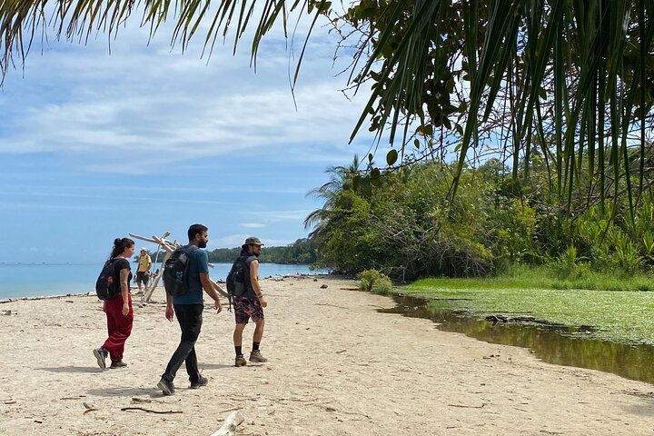 Cahuita nasjonalpark tur og vannopplevelse i Puerto Viejo