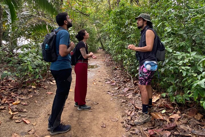 Cahuita nasjonalpark tur og vannopplevelse i Puerto Viejo