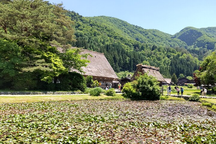 [En-dags bustur med afgang fra Kanazawa Station] Shirakawa-go og Gokayama, to verdensarvslandsbyer bustur