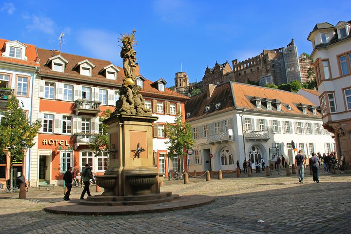 Heidelberg Exclusieve Tour - Oude stad, schilderachtige wandeling en toegang tot het kasteel