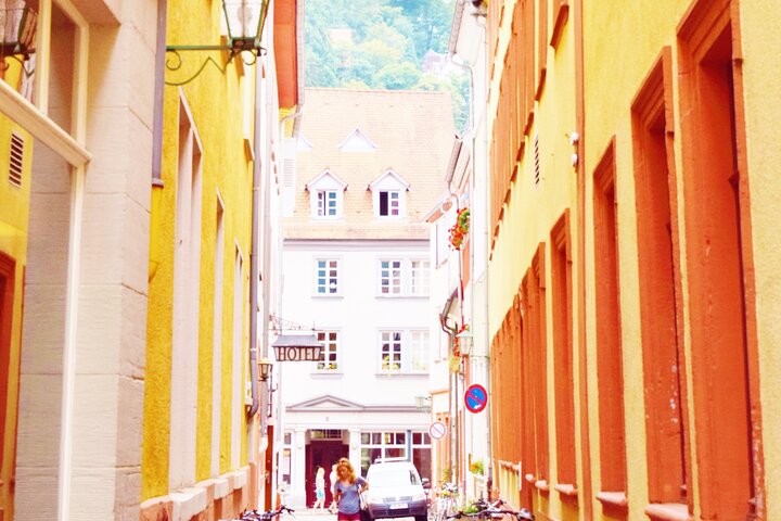 Heidelberg Exclusieve Tour - Oude stad, schilderachtige wandeling en toegang tot het kasteel