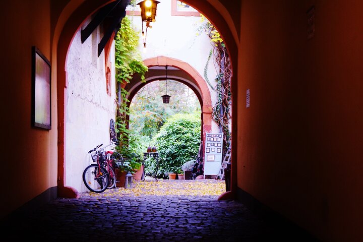 Heidelberg Exclusieve Tour - Oude stad, schilderachtige wandeling en toegang tot het kasteel