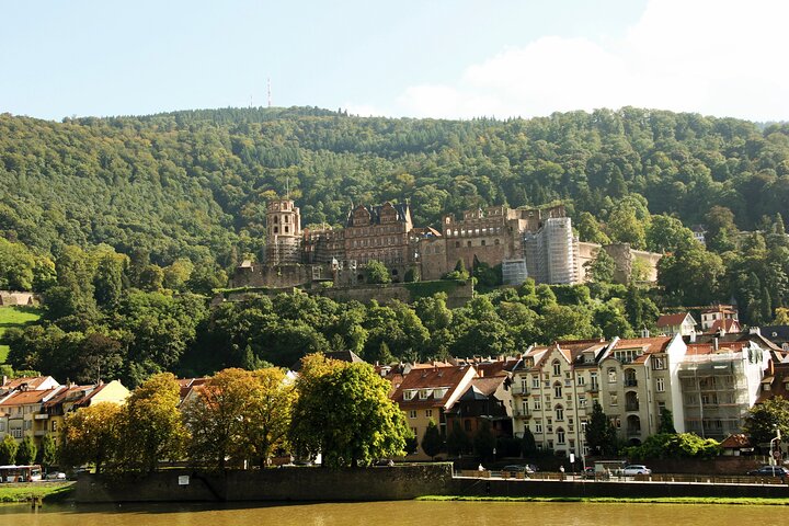 Heidelberg Exclusieve Tour - Oude stad, schilderachtige wandeling en toegang tot het kasteel