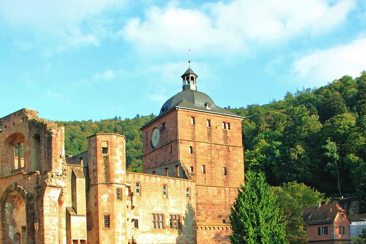 Heidelberg Exclusieve Tour - Oude stad, schilderachtige wandeling en toegang tot het kasteel