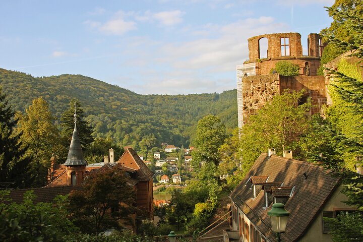 Heidelberg Exclusieve Tour - Oude stad, schilderachtige wandeling en toegang tot het kasteel