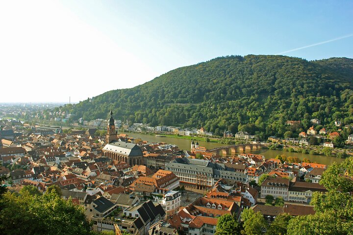 Heidelberg Exclusieve Tour - Oude stad, schilderachtige wandeling en toegang tot het kasteel