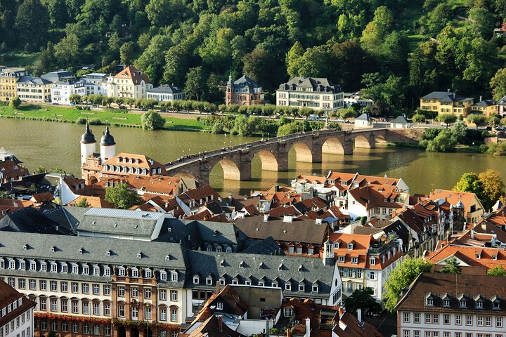 Heidelberg Exclusieve Tour - Oude stad, schilderachtige wandeling en toegang tot het kasteel