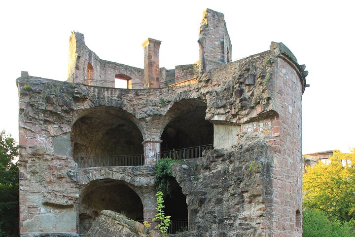 Heidelberg Exclusieve Tour - Oude stad, schilderachtige wandeling en toegang tot het kasteel