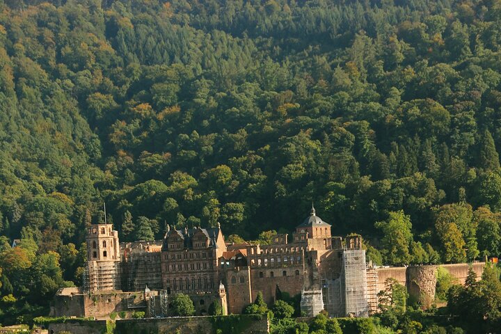 Heidelberg Exclusieve Tour - Oude stad, schilderachtige wandeling en toegang tot het kasteel