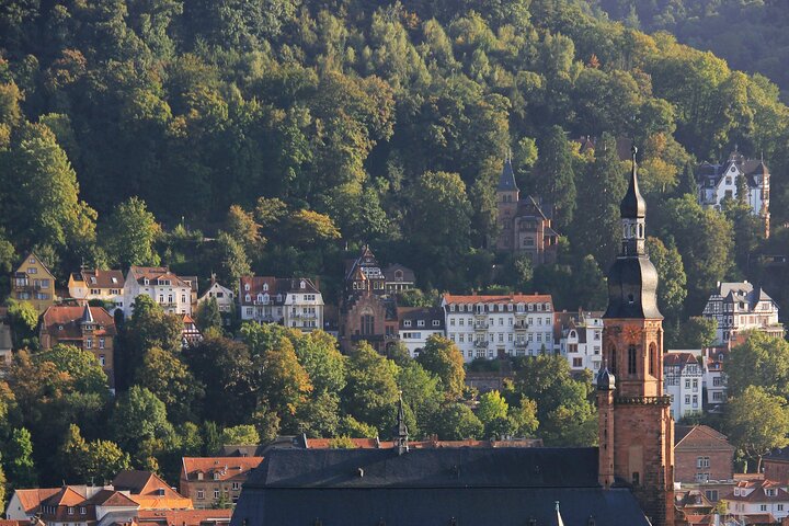 Heidelberg Exclusieve Tour - Oude stad, schilderachtige wandeling en toegang tot het kasteel