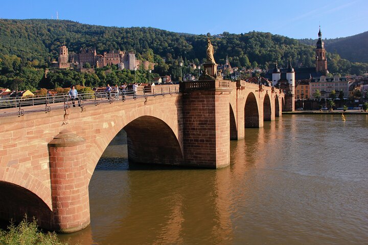 Heidelberg Exclusieve Tour - Oude stad, schilderachtige wandeling en toegang tot het kasteel