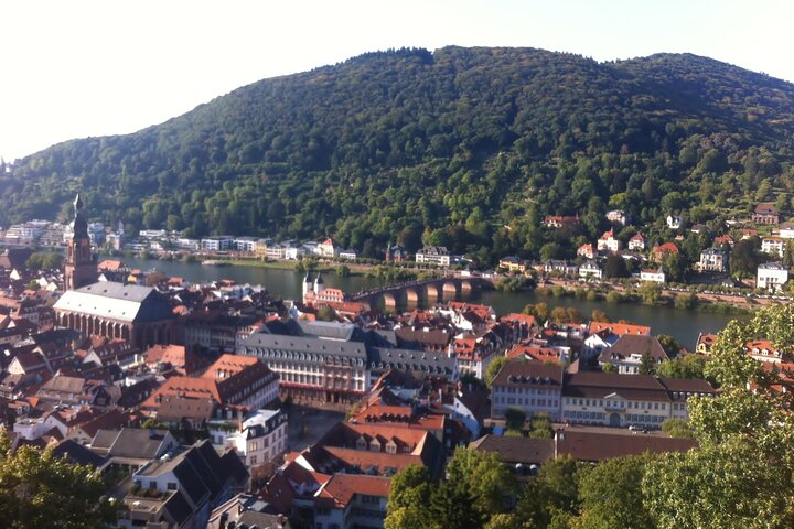 Heidelberg Exclusieve Tour - Oude stad, schilderachtige wandeling en toegang tot het kasteel