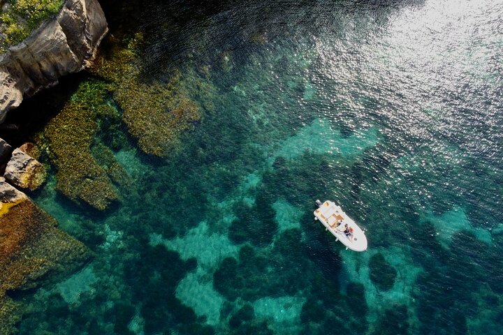 Procida : Excursion en bateau - Arrêts pour la baignade, la plongée avec tuba et la photographie sous-marine