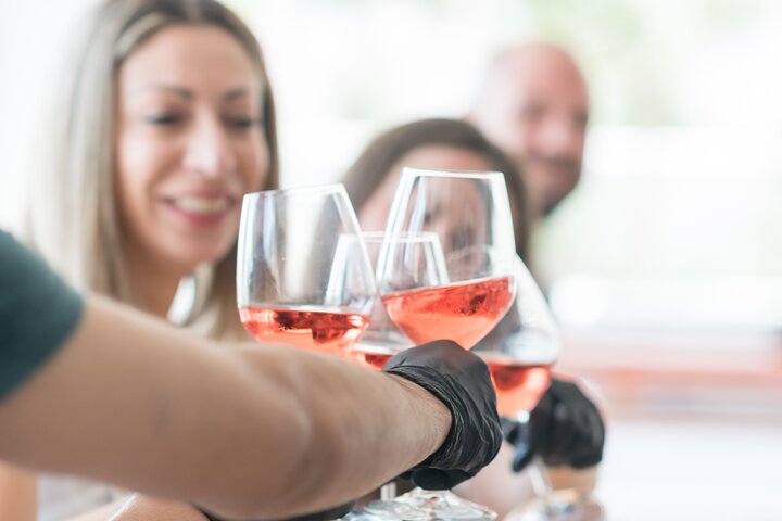 Lição de cozinha em grupo pequeno e degustação de vinhos na Prêmio vinícola