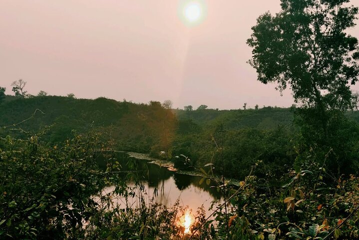 Randonnée d'une journée complète dans le jardin de thé et le parc national de Sreemangal