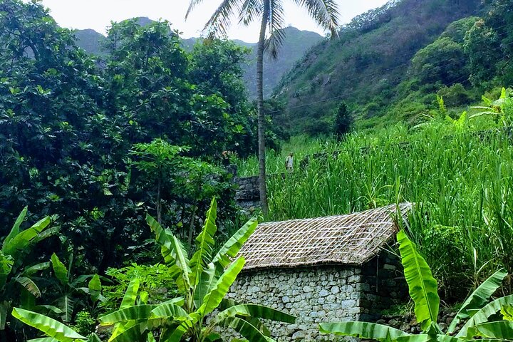 Santo Antão Points forts : Excursion d'une journée en voiture avec ferry au départ de São Vicente