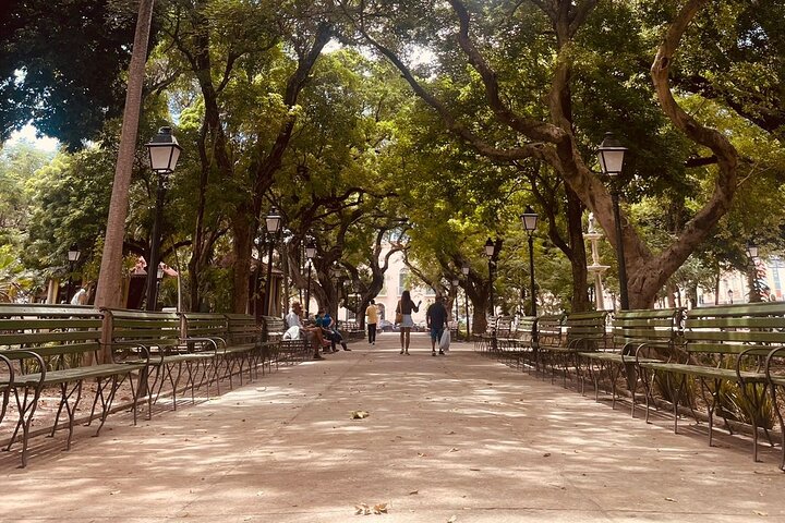 City Tour Histórico e Cultural por Fortaleza