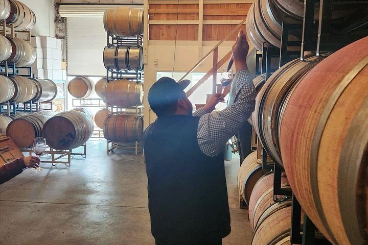 Excursão vinícola com tudo incluído para grupos pequenos em Solvang Santa Ynez Valley