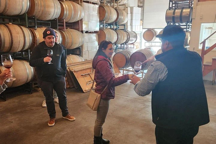 Excursão vinícola com tudo incluído para grupos pequenos em Solvang Santa Ynez Valley