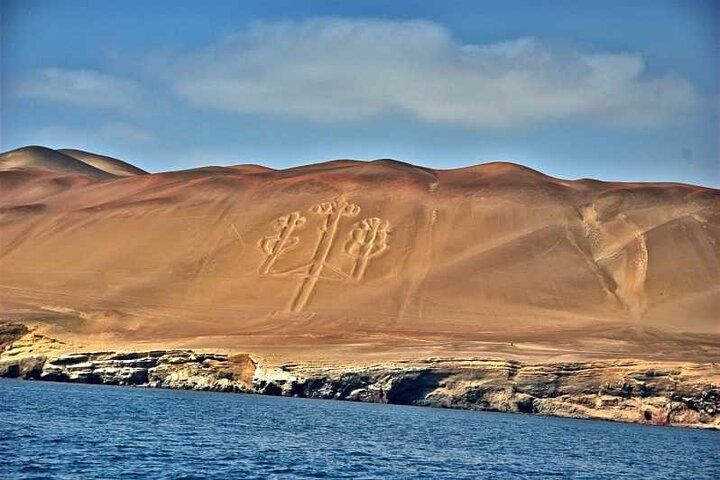 From cruise ships Pisco : Tour islands Ballestas and Paracas Reserve