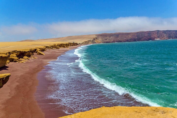 From cruise ships Pisco : Tour islands Ballestas and Paracas Reserve