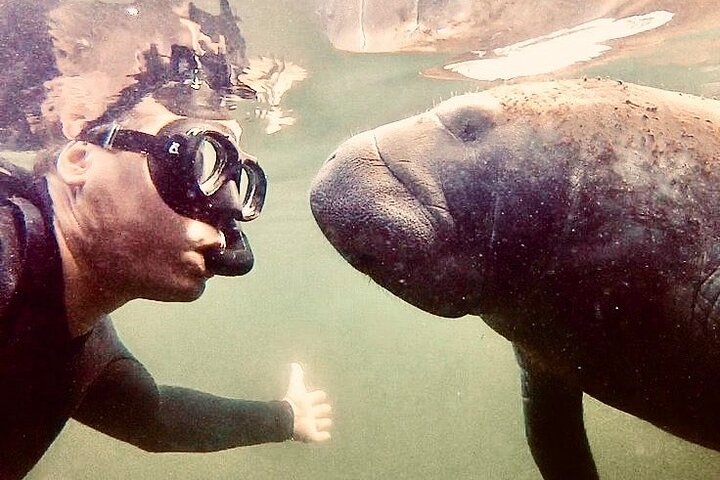 Tour de plongée avec tuba au lamantin depuis l'American Pro Diving Center