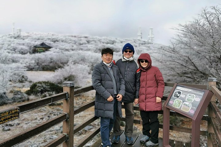 Jeju island Private Tour - UNESCO Day Tour & Haenyeo Performance