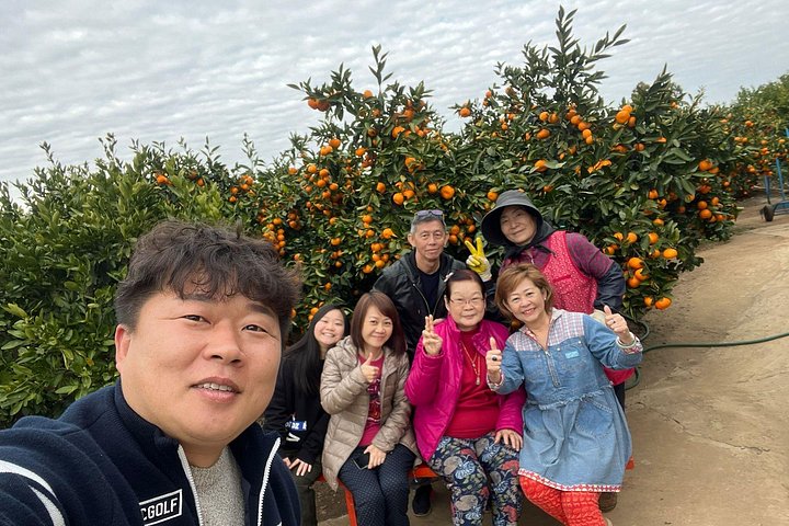 Jeju island Private Tour - UNESCO Day Tour & Haenyeo Performance