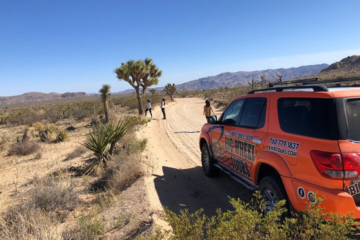 Recorrido todoterreno por el Parque Nacional Joshua Tree