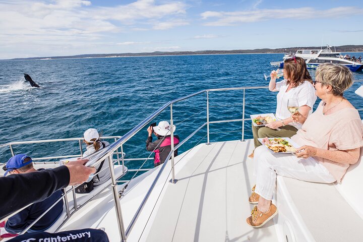 Hoteller i nærheden af Freedom Whale Watch Cruise - Hervey Bay