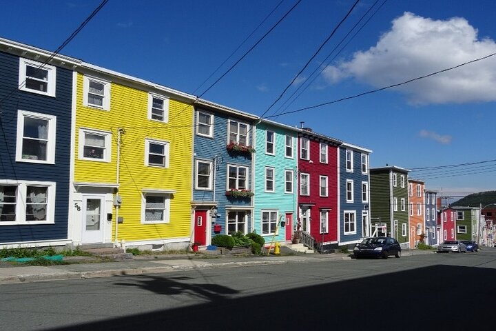 Il meglio del tour per piccoli gruppi di St. John con Cape Spear e Signal Hill
