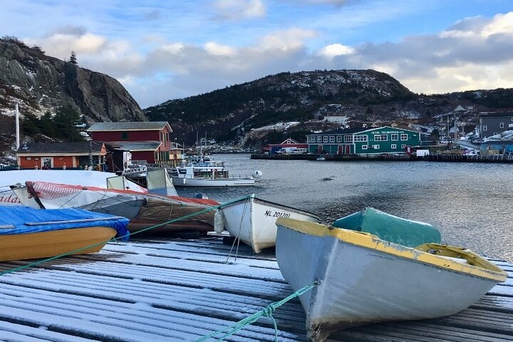 Il meglio del tour per piccoli gruppi di St. John con Cape Spear e Signal Hill