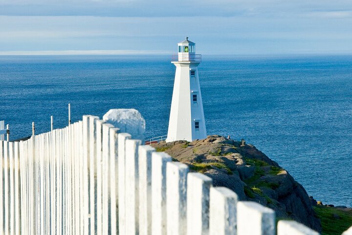Il meglio del tour per piccoli gruppi di St. John con Cape Spear e Signal Hill