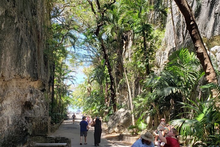 Nassau's Half Day Bus City Tour: Guided Tour with Free Samples