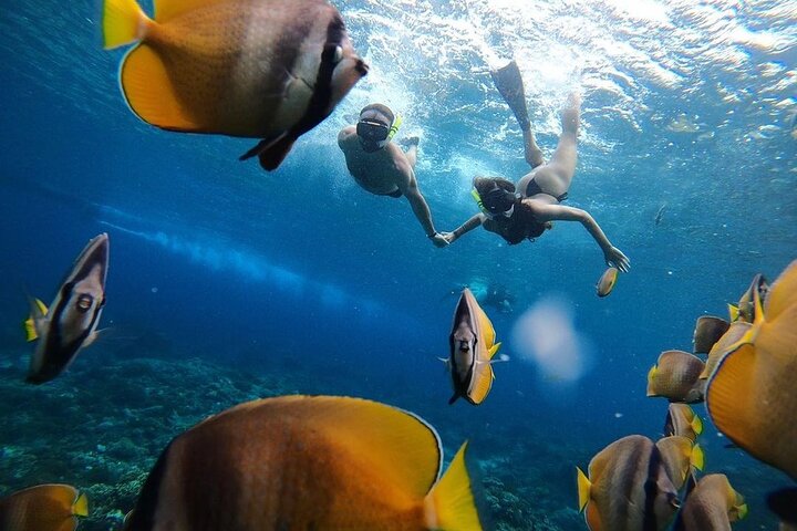 Un giorno Nusa Penida Island West con lo snorkeling