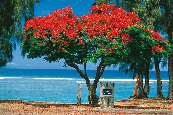 Reunion Island: 8-Hour Private Tour Through 8 Inescapable Sites