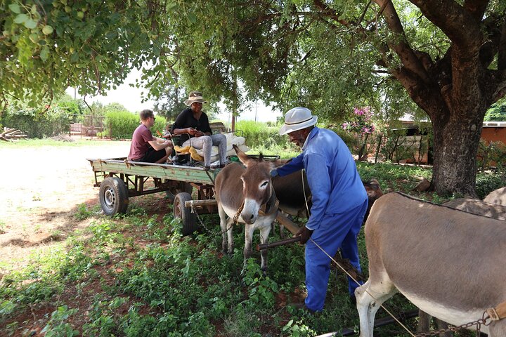 Halvdagstur fra Gaborone (Manyana Village Besøg)