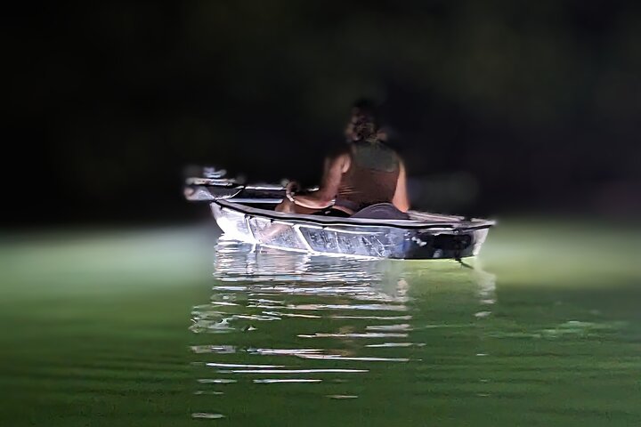 Hoteller i nærheden af Sarasota - Clear Kayak LED Night Glass Bottom Tour